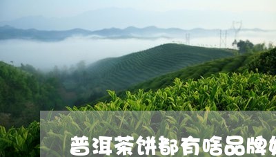 普洱茶饼都有啥品牌好一点/2023112443724