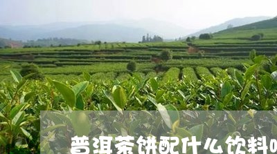 普洱茶饼配什么饮料喝好/2023083176247