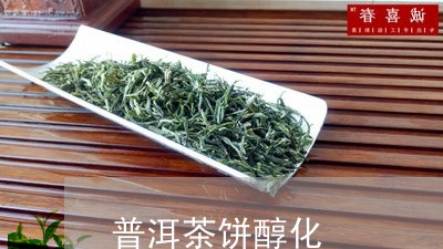 普洱茶饼醇化/2023042672205