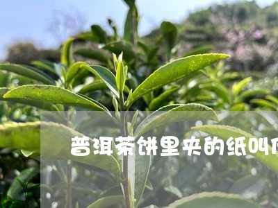 普洱茶饼里夹的纸叫什么/2023110198573