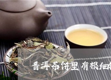 普洱茶饼里有根细铁丝/2023120706396