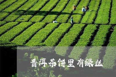 普洱茶饼里有绿丝/2023101679604