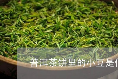 普洱茶饼里的小豆是什么/2023082448383