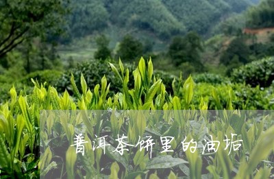 普洱茶饼里的油垢/2023120469515