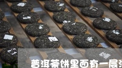 普洱茶饼里面有一层油/2023061424927