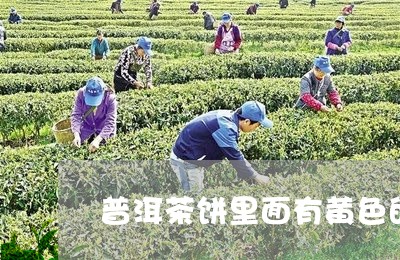 普洱茶饼里面有黄色的/2023061818370