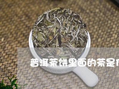 普洱茶饼里面的茶是什么/2023110104048