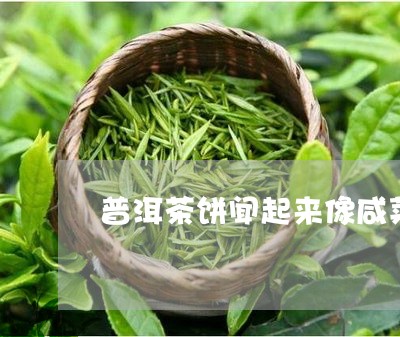 普洱茶饼闻起来像咸菜/2023101721826