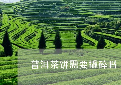 普洱茶饼需要撬碎吗/2023083160473