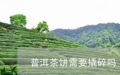 普洱茶饼需要撬碎吗/2023110795927