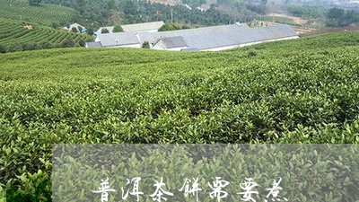 普洱茶饼需要煮/2023083117260