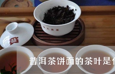 普洱茶饼面的茶叶是什么茶/2023112412804