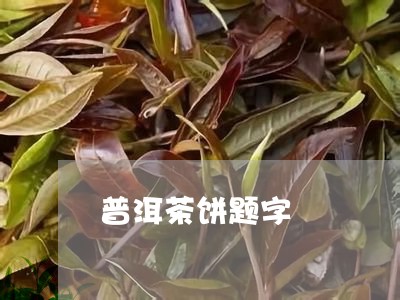 普洱茶饼题字/2023102549482