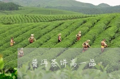 普洱茶饼高一品/2023102688182