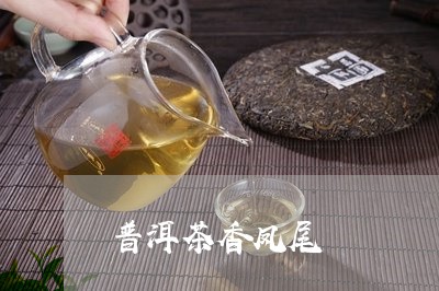 普洱茶香凤尾/2023042603727