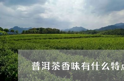 普洱茶香味有什么特点/2023080137370