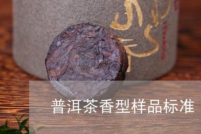 普洱茶香型样品标准/2023120577379