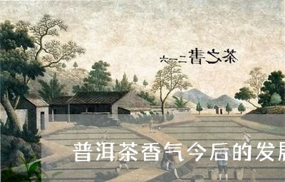 普洱茶香气今后的发展/2023080185260