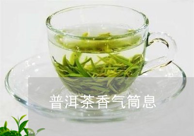 普洱茶香气筒息/2023082668269