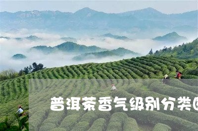 普洱茶香气级别分类图片/2023110759371