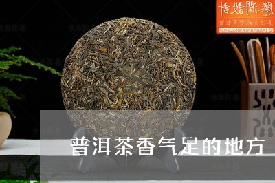 普洱茶香气足的地方/2023120560382