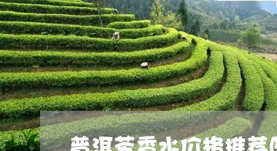 普洱茶香水价格推荐图表/2023082728480