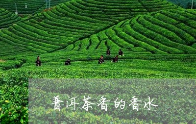 普洱茶香的香水/2023081847683