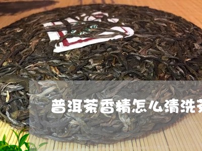 普洱茶香精怎么清洗茶垢/2023102414937