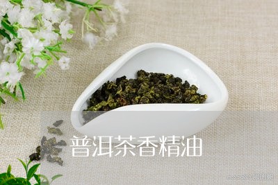 普洱茶香精油/2023042855999