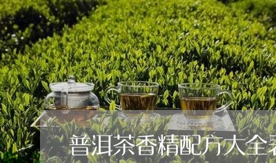 普洱茶香精配方大全表/2023112761604