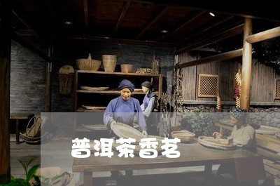 普洱茶香茗/2023081504726