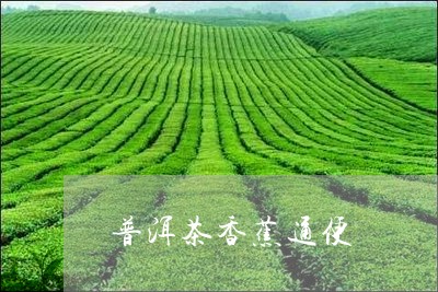 普洱茶香蕉通便/2023091450703