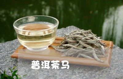 普洱茶马/2023083149485