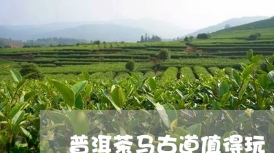 普洱茶马古道值得玩/2023120528413