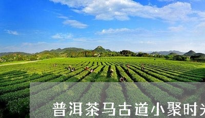 普洱茶马古道小聚时光/2023120667471