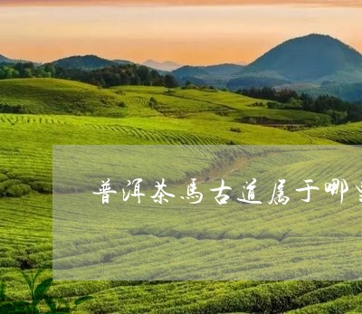 普洱茶马古道属于哪里/2023080213704