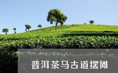 普洱茶马古道摆摊/2023081614928