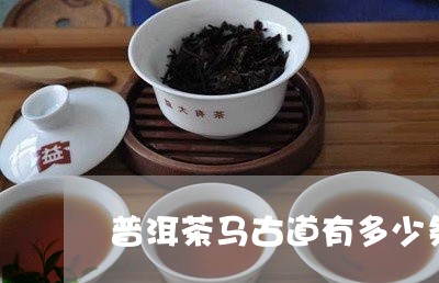 普洱茶马古道有多少条/2023093063916