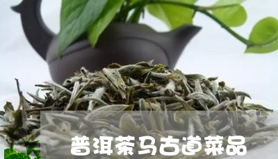 普洱茶马古道菜品/2023101608371