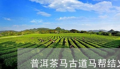 普洱茶马古道马帮结义/2023100774061