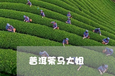 普洱茶马大姐/2023042649405