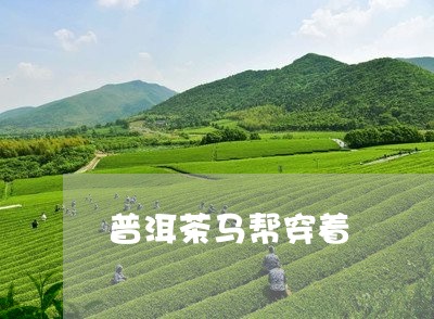 普洱茶马帮穿着/2023070981594