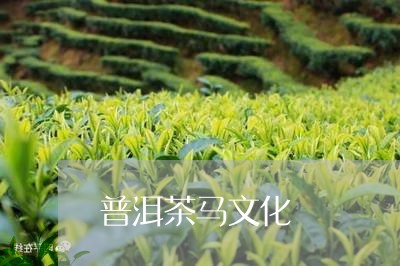 普洱茶马文化/2023042773654