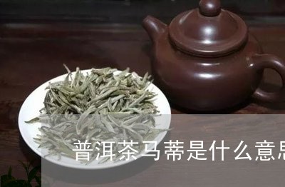 普洱茶马蒂是什么意思/2023093061918