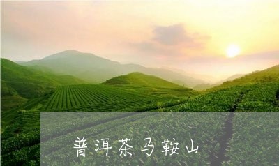 普洱茶马鞍山/2023042935651