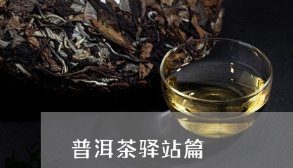 普洱茶驿站篇/2023042740314