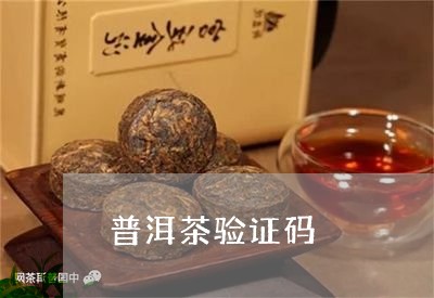 普洱茶验证码/2023042940232