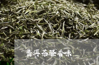 普洱茶骚香味/2023042841613