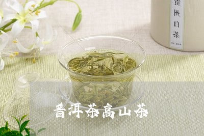 普洱茶高山茶/2023042640774