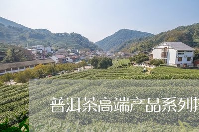 普洱茶高端产品系列排名/2023102433837